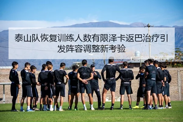 泰山队恢复训练人数有限泽卡返巴治疗引发阵容调整新考验